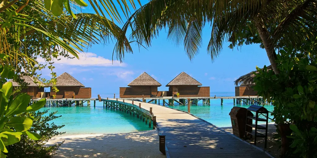 Maldive travel agency