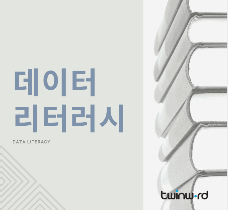 데이터 리터러시