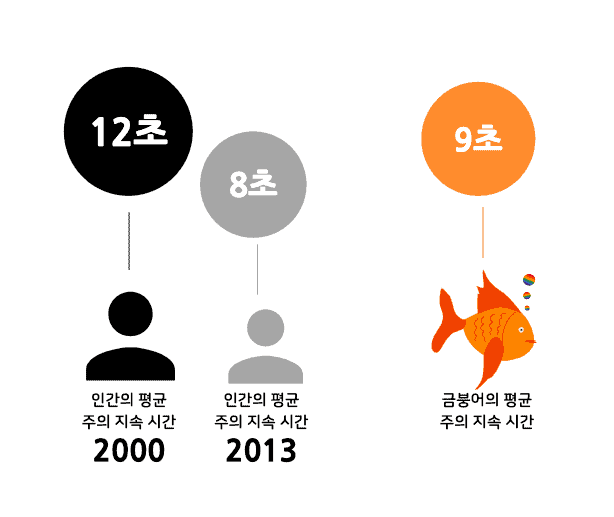 인간과 금붕어의 주의 지속 시간 비교