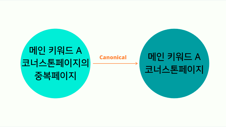 노출을 원하는 페이지와 중복된 페이지가 존재할 경우 캐노니컬 태그를 통해서 관계를 형성하고 검색엔진에게 알려야함.